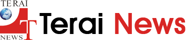Terai News, Logo